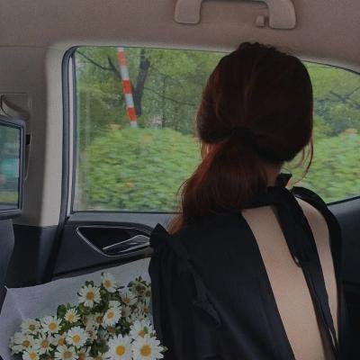 科搜研之女第24季
